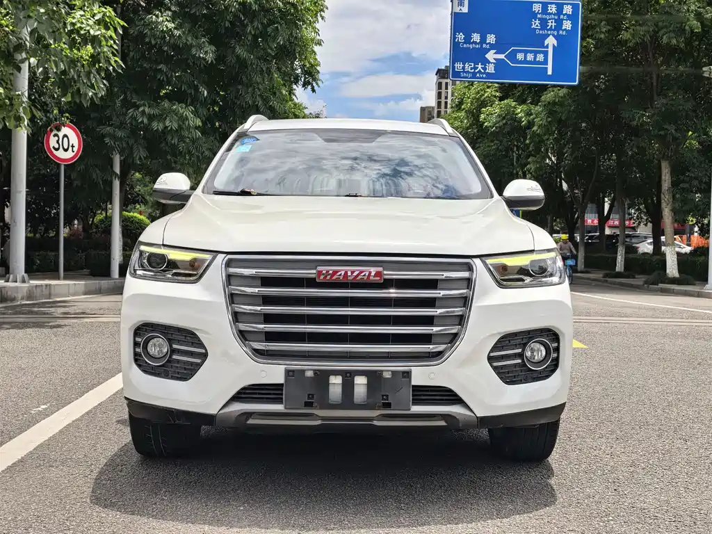Haval H6 — миниатюра 2