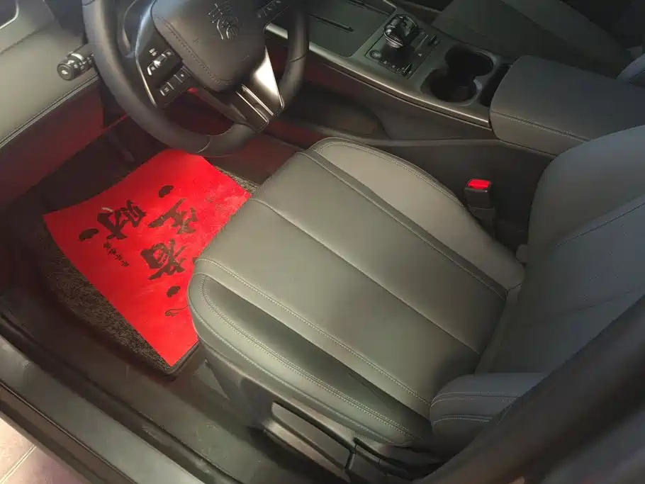 BYD Qin Plus PLUS 2025 DM-i Smart Drive 55KM Lead