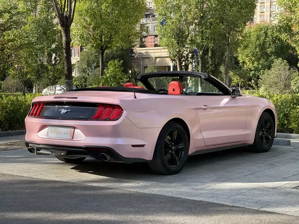 Ford Mustang — миниатюра 9
