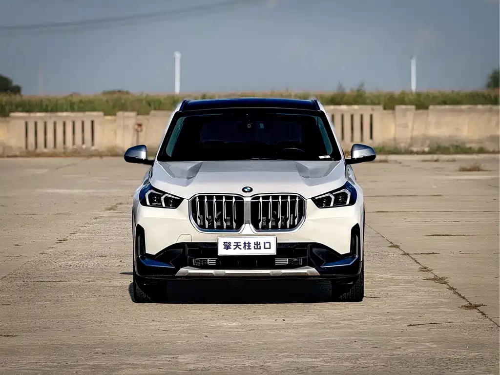 BMW X1 — миниатюра 2