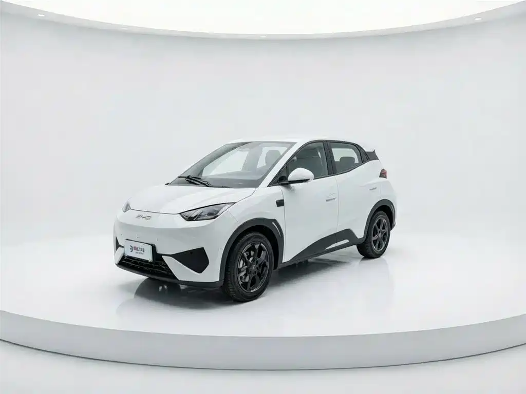 Byd Seagull 2025