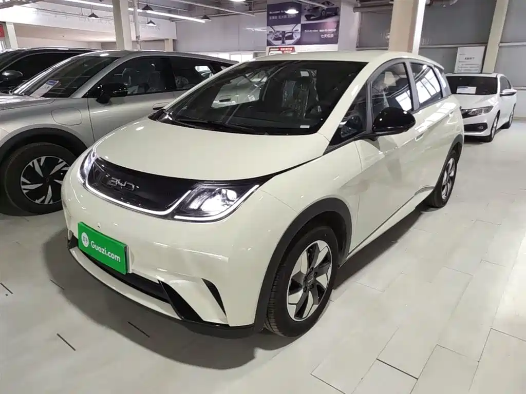 BYD Dolphin 2025 420km Free Edition