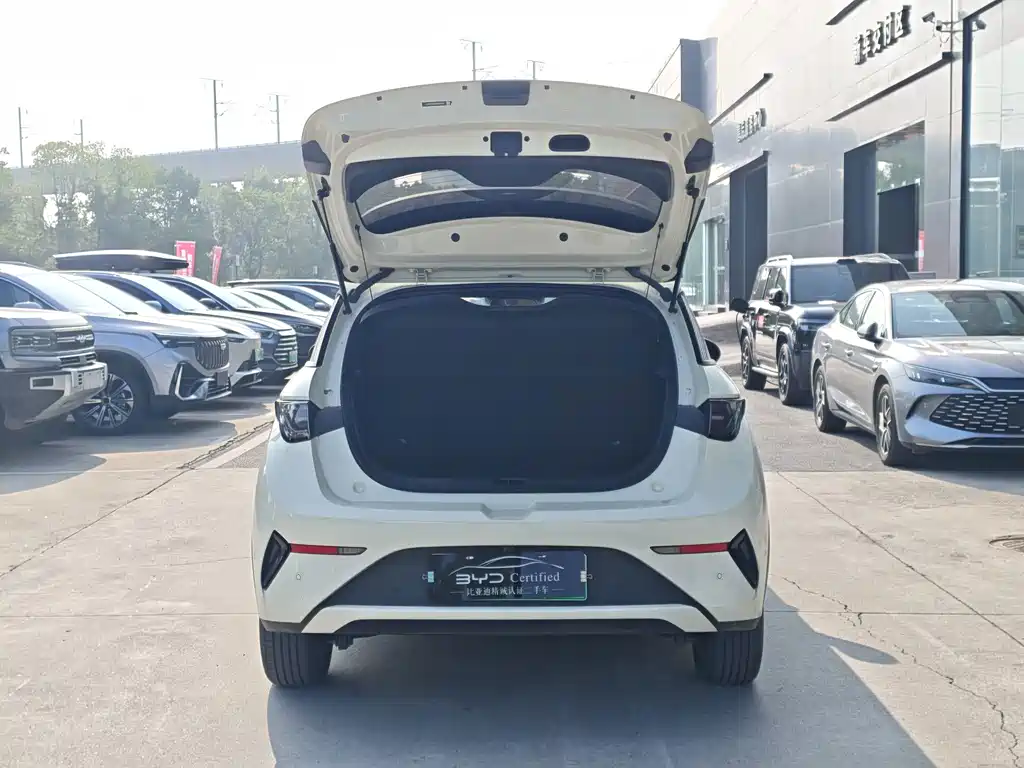 BYD Dolphin — миниатюра 12