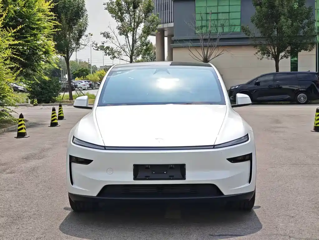 Tesla Model Y — миниатюра 3