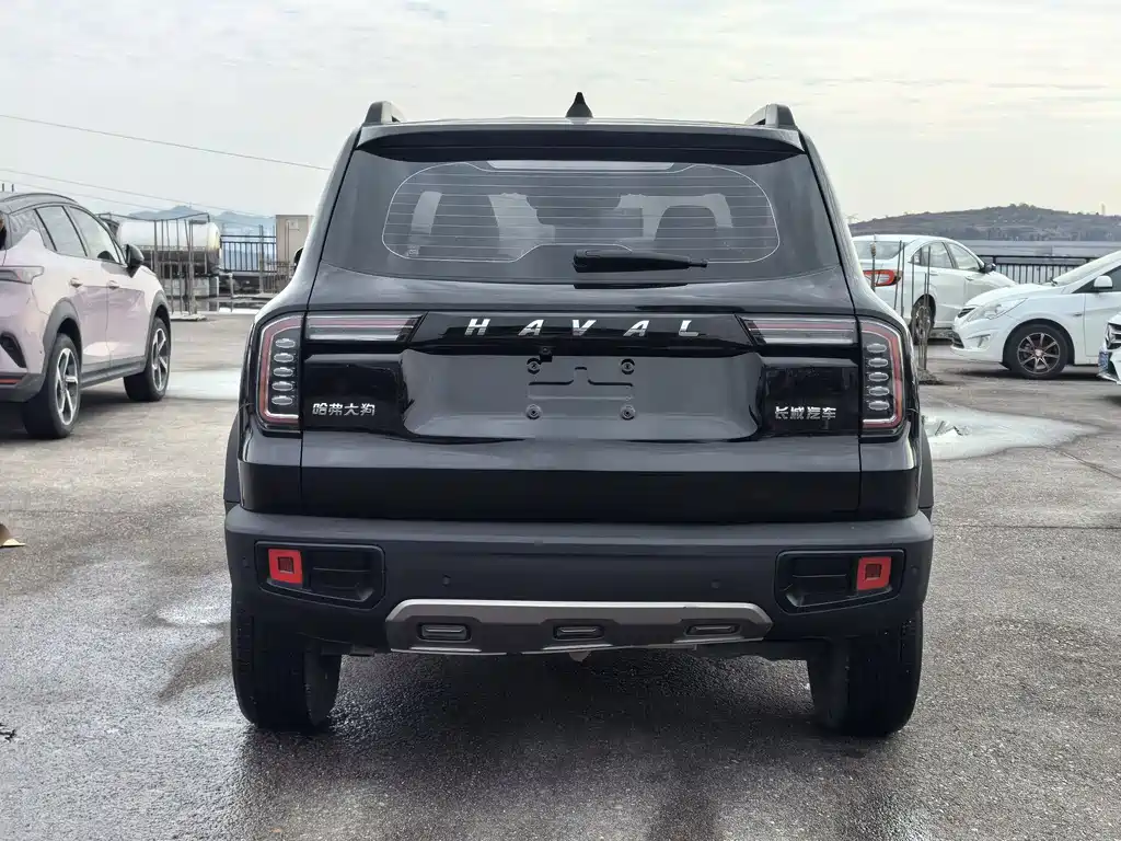 HAVAL BIG DOG
