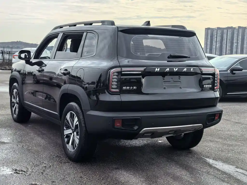 HAVAL BIG DOG