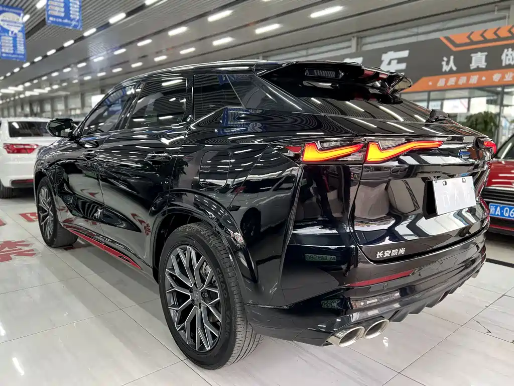 Oshan Oushang Z6 — миниатюра 9