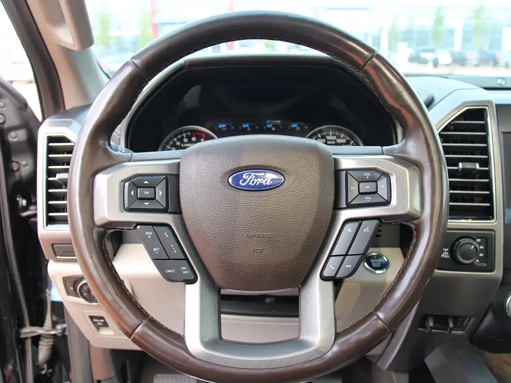 Ford F-150 Raptor — миниатюра 18