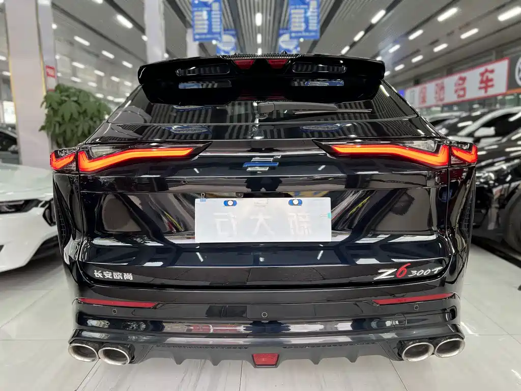 Oshan Oushang Z6 — миниатюра 8