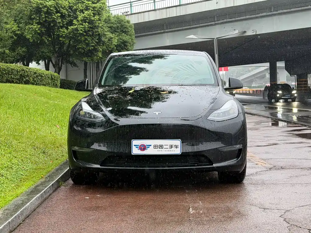 Tesla Model Y — миниатюра 2