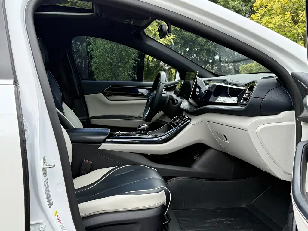 BYD Qin PLUS — миниатюра 11