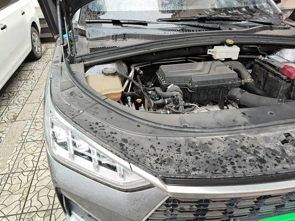 BYD PLUS — миниатюра 21
