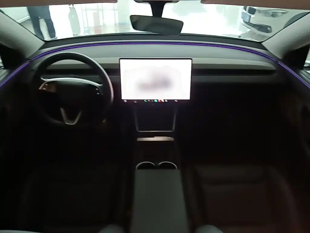 Tesla Model Y — миниатюра 10