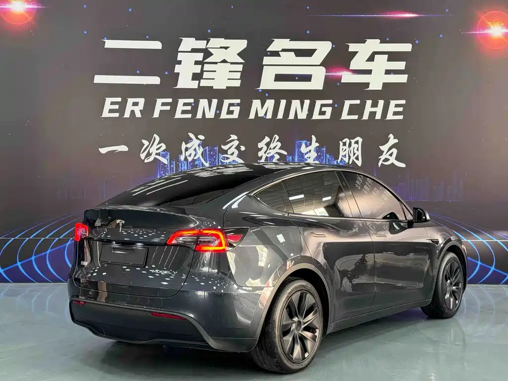 Tesla Model Y — миниатюра 4