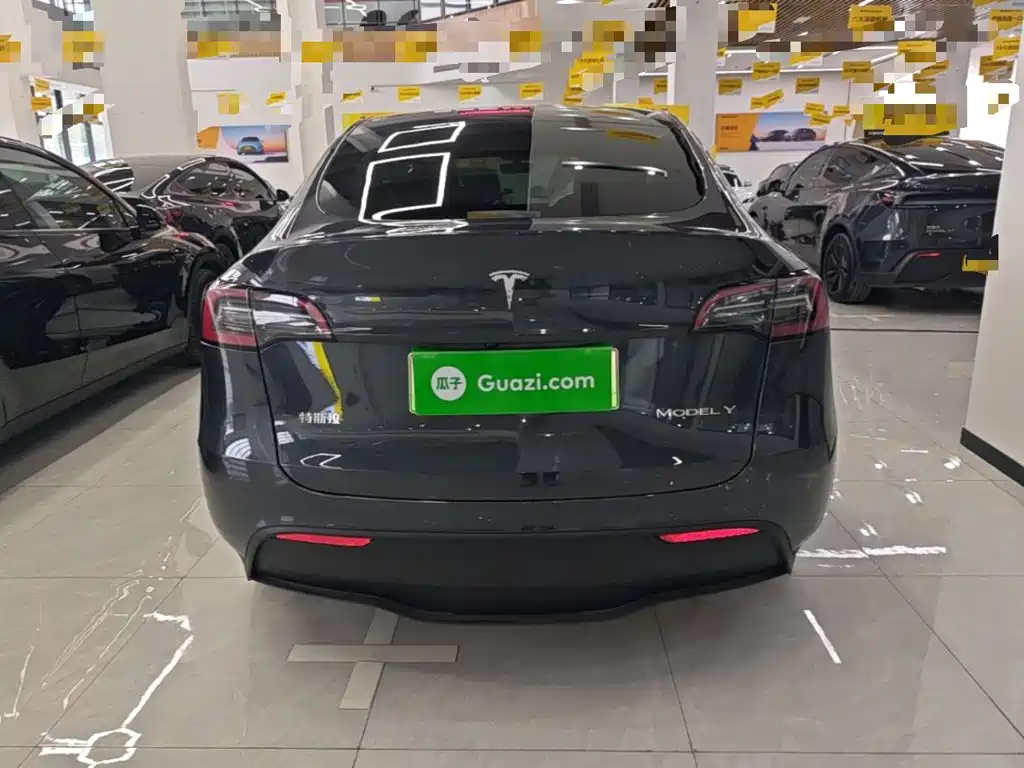 Tesla Model Y — миниатюра 6