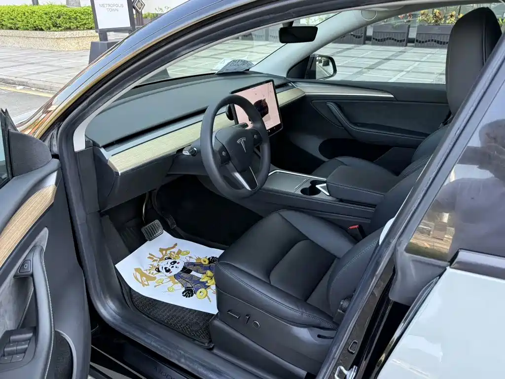 Tesla Model Y — миниатюра 4