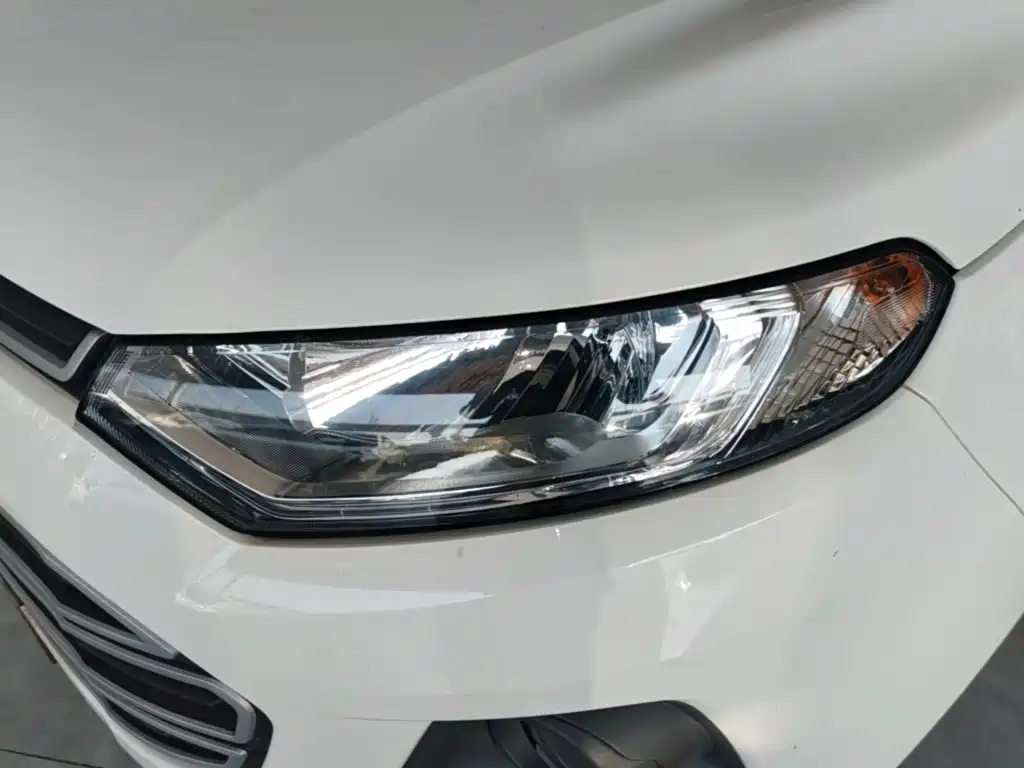 Ford Ecosport — миниатюра 24