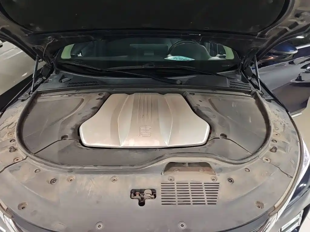 BYD Tang New Energy — миниатюра 20