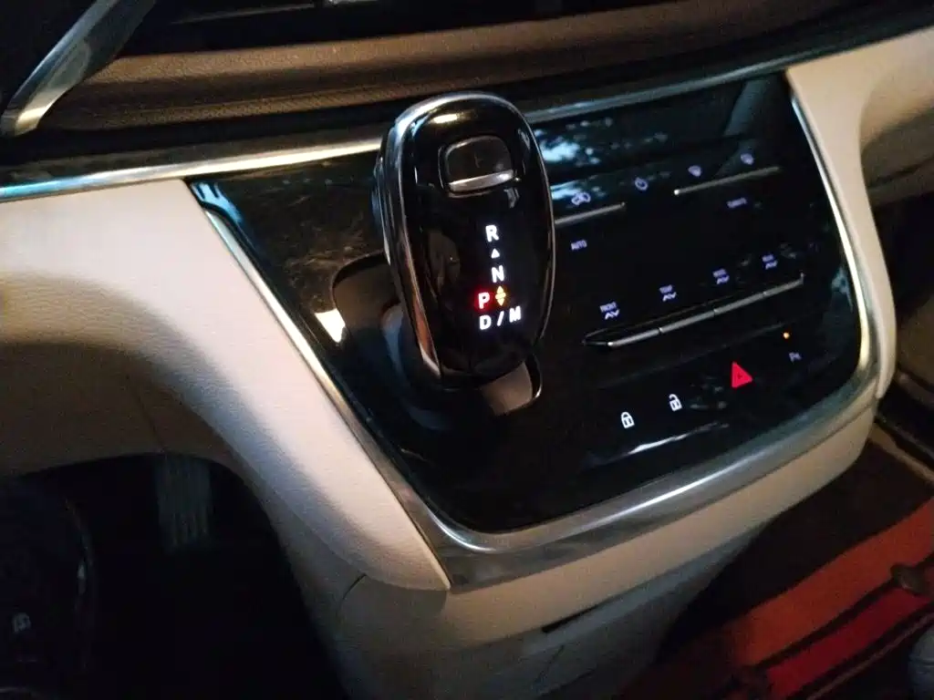 Buick GL8 — миниатюра 10
