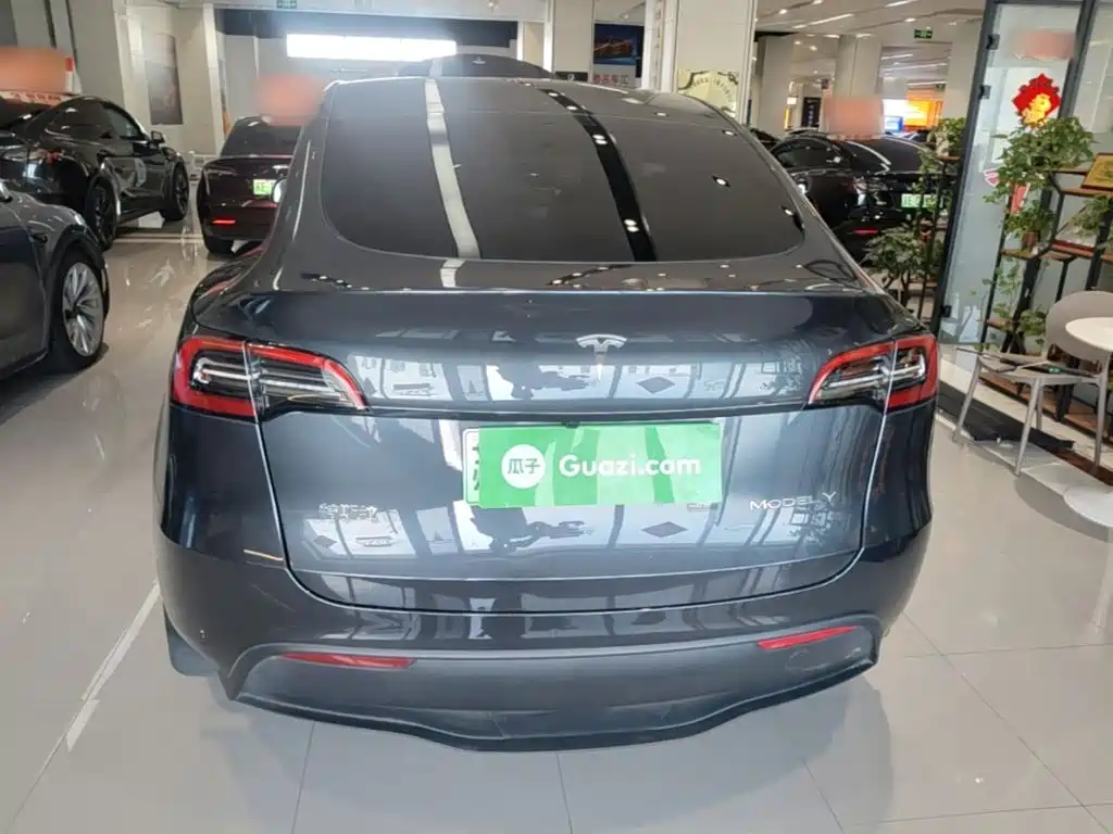 Tesla Model Y — миниатюра 6