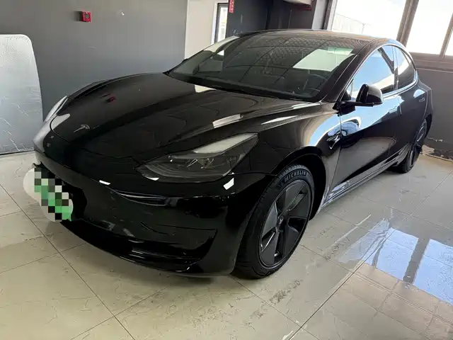TESLA MODEL 3 2021