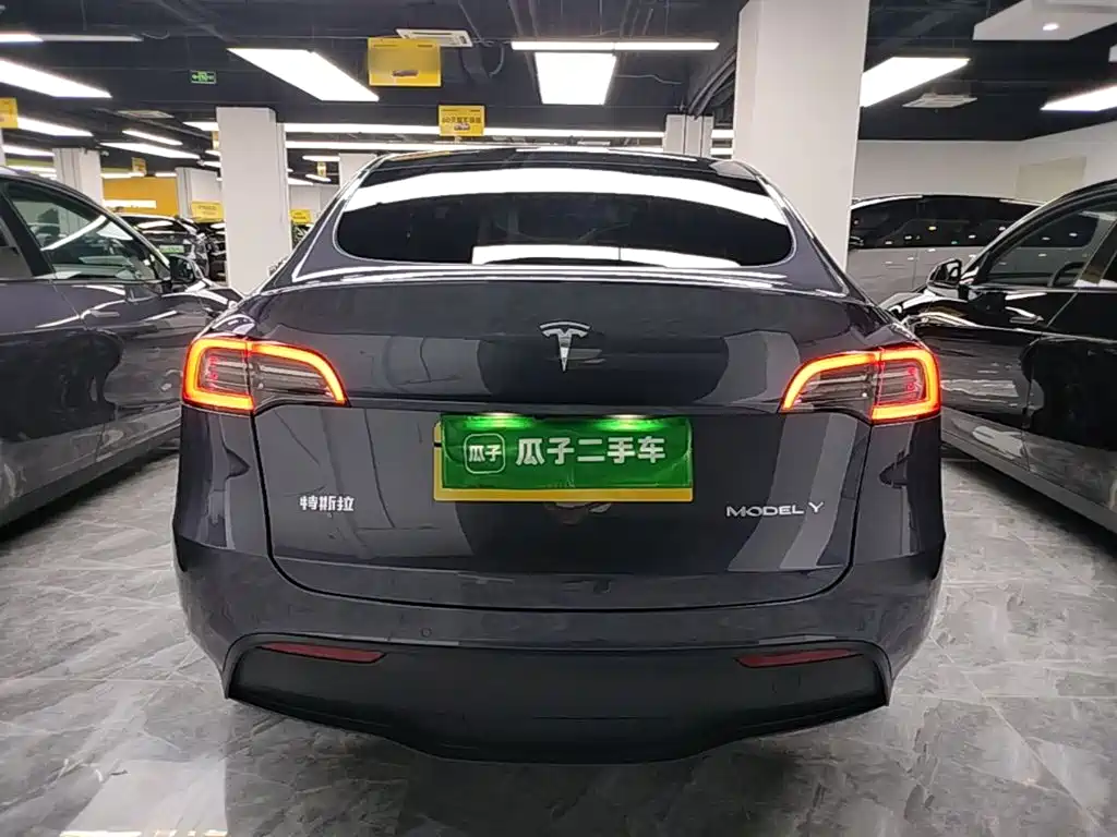 Tesla Model Y — миниатюра 6