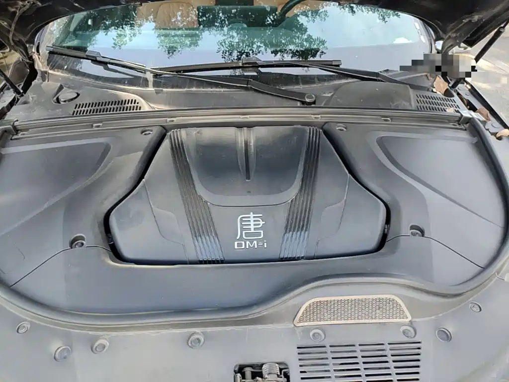 BYD Tang New Energy — миниатюра 20