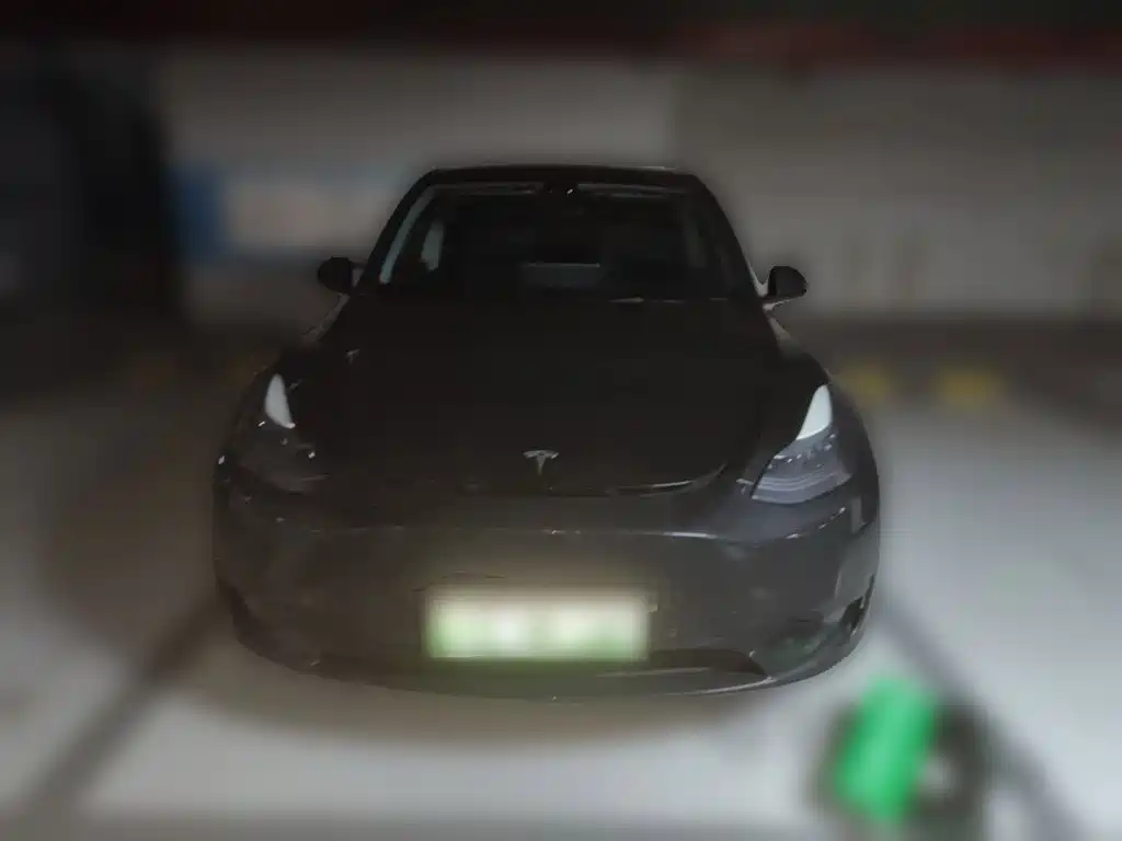 Tesla Model Y — миниатюра 2