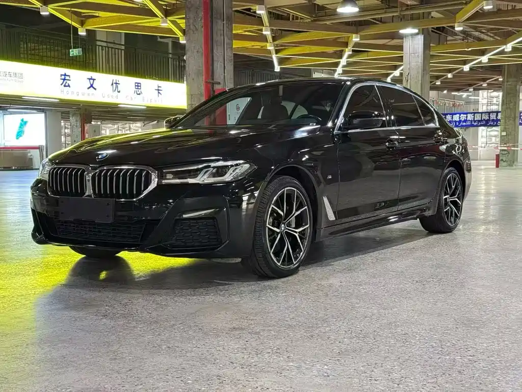 BMW 5 Series — миниатюра 3