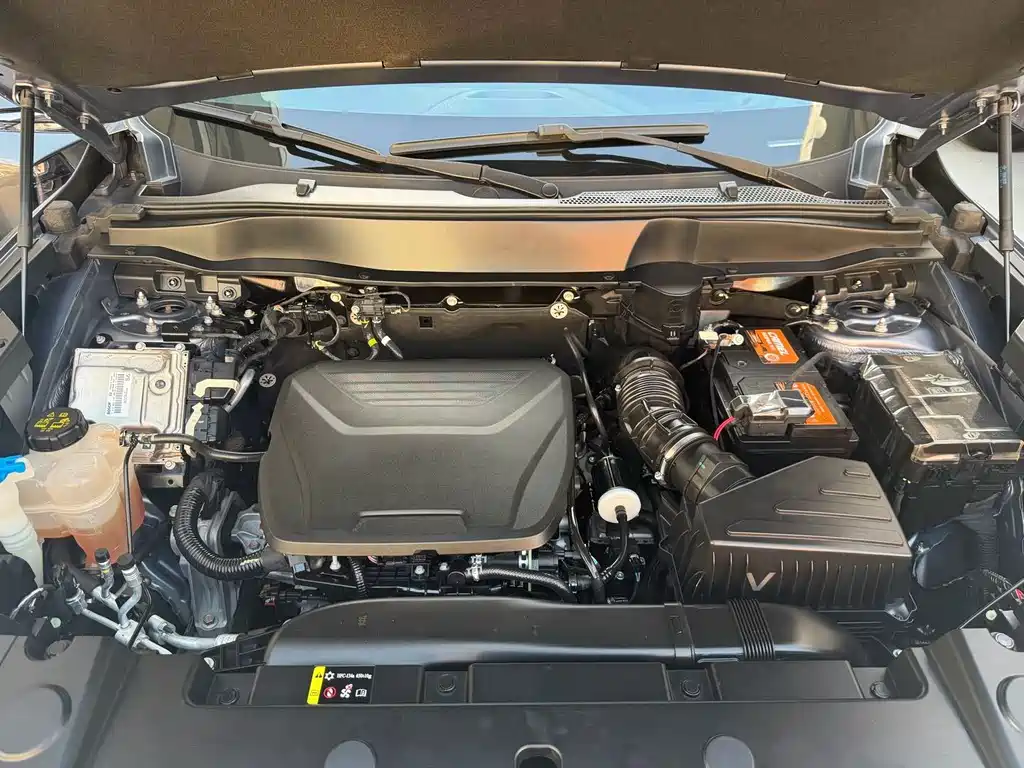 Haval Big Dog — миниатюра 14