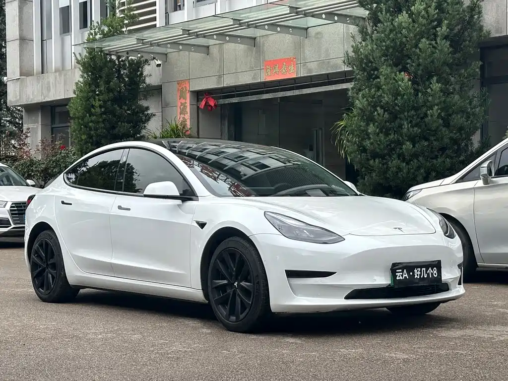 Tesla Model 3 — миниатюра 3