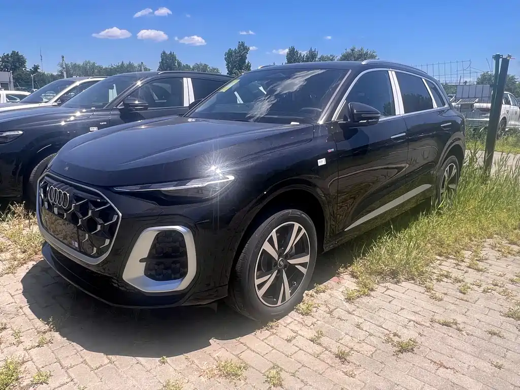 Audi Q5L 0