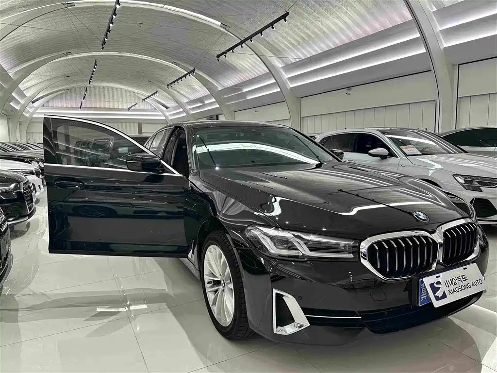 BMW 5 Series — миниатюра 5