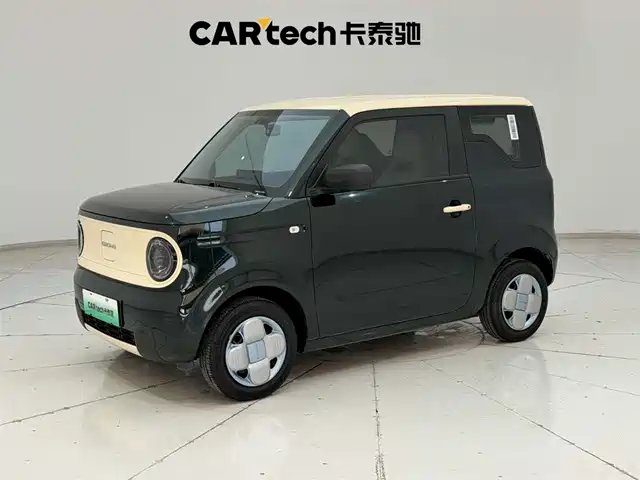 GEELY GALAXY PANDA 2024
