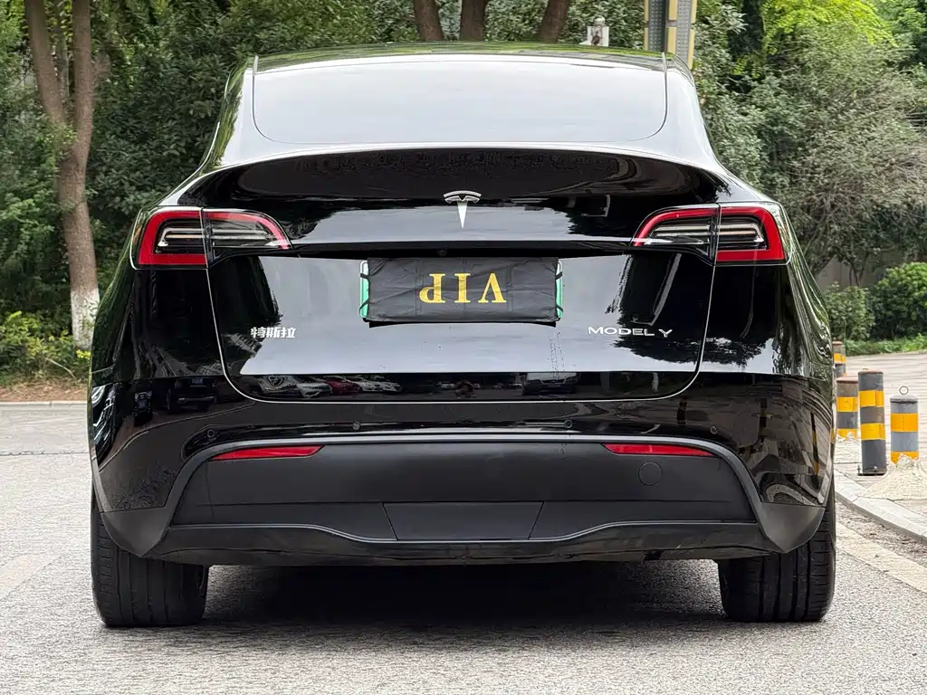 Tesla Model Y — миниатюра 5