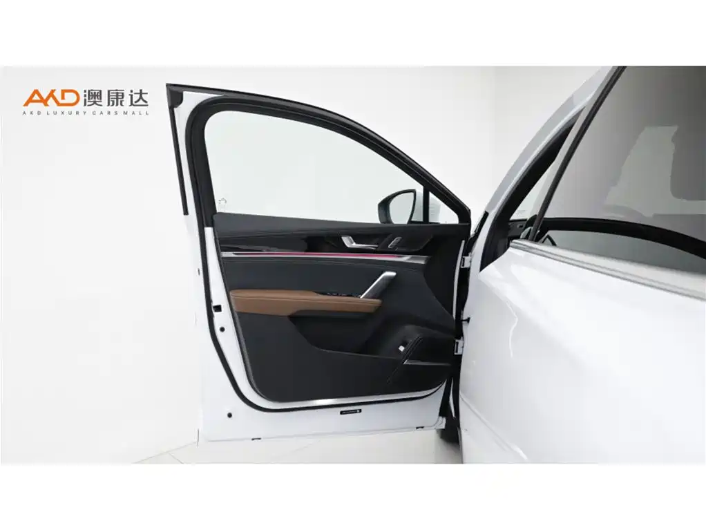 BYD Tang New Energy — миниатюра 11