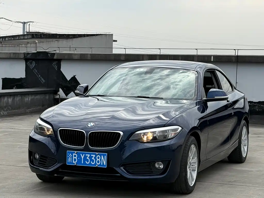 BMW 2 Series (Import) 2016
