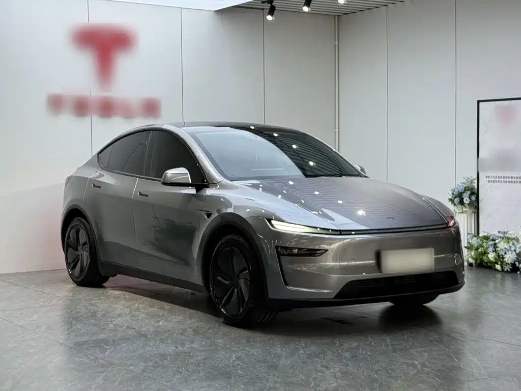 Tesla Model Y — миниатюра 4