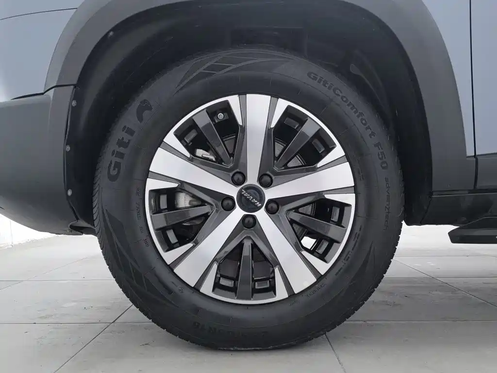 Haval Big Dog — миниатюра 17