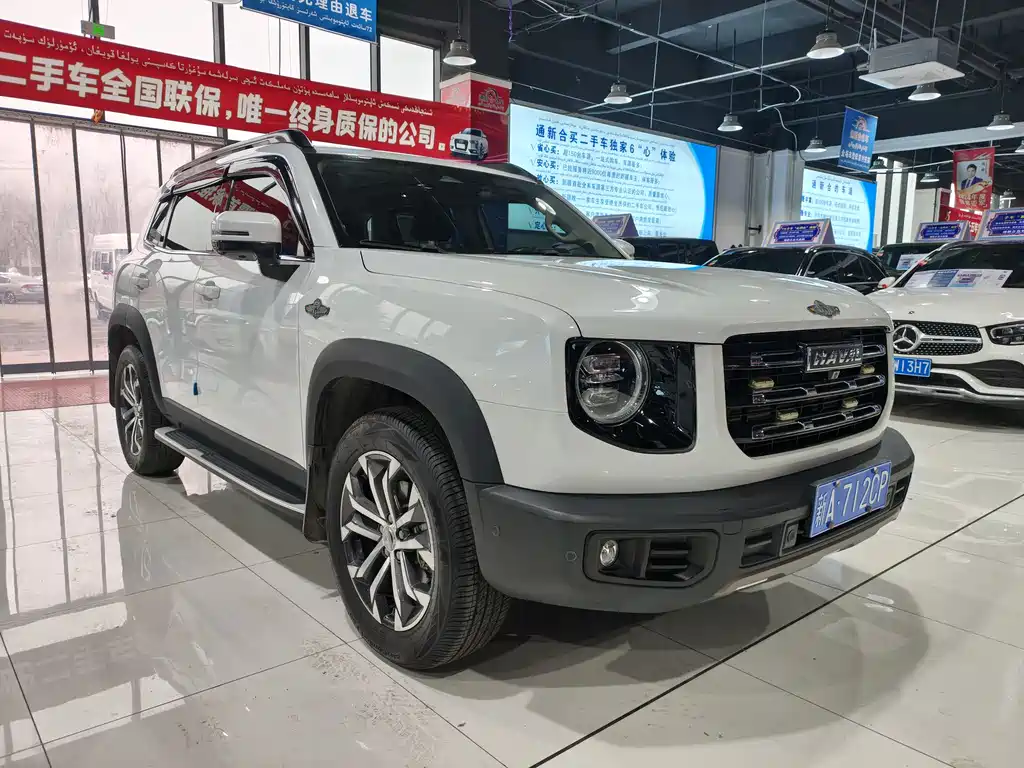 HAVAL BIG DOG