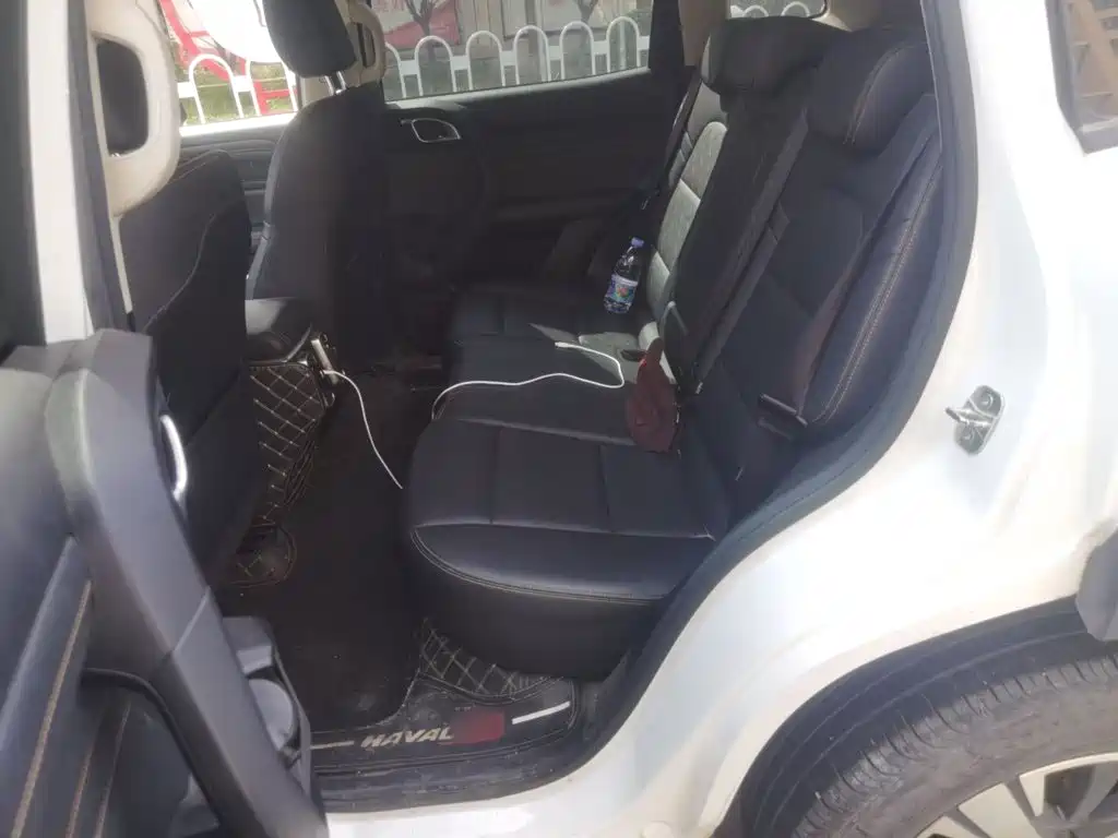 Haval Big Dog — миниатюра 13