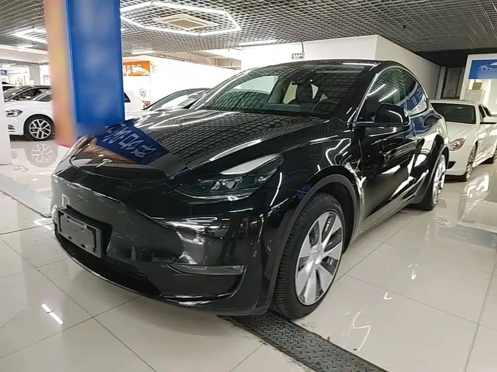 Tesla Model Y — миниатюра 2