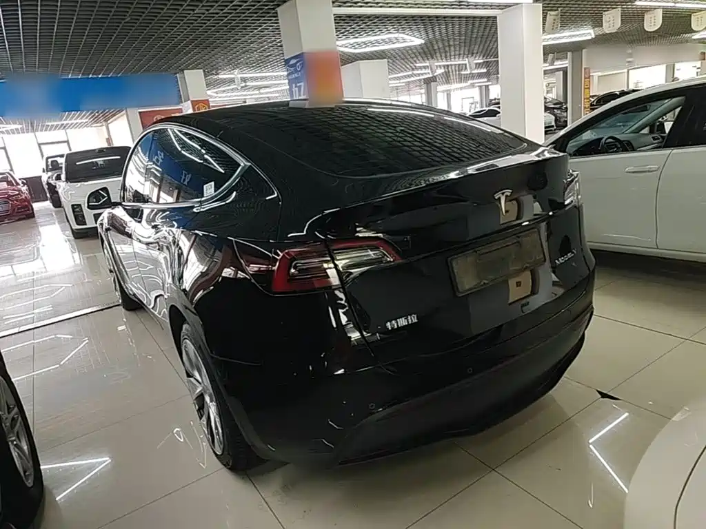Tesla Model Y — миниатюра 5
