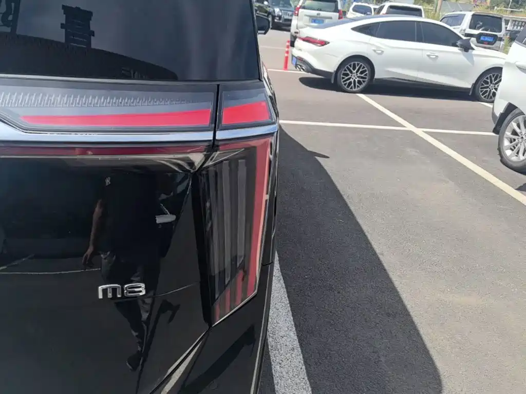 GAC Motor Trumpchi M8 — миниатюра 8