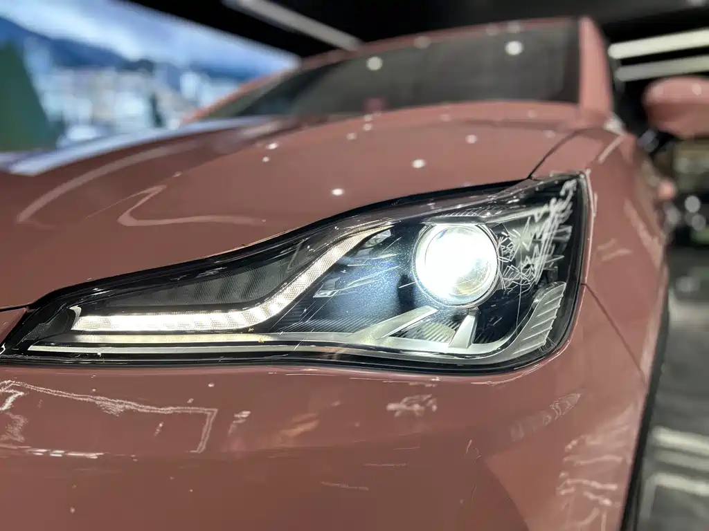 Neta Neta V — миниатюра 28