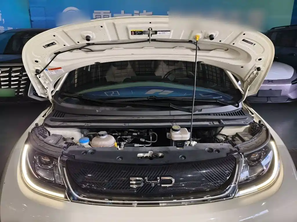 BYD Dolphin — миниатюра 20