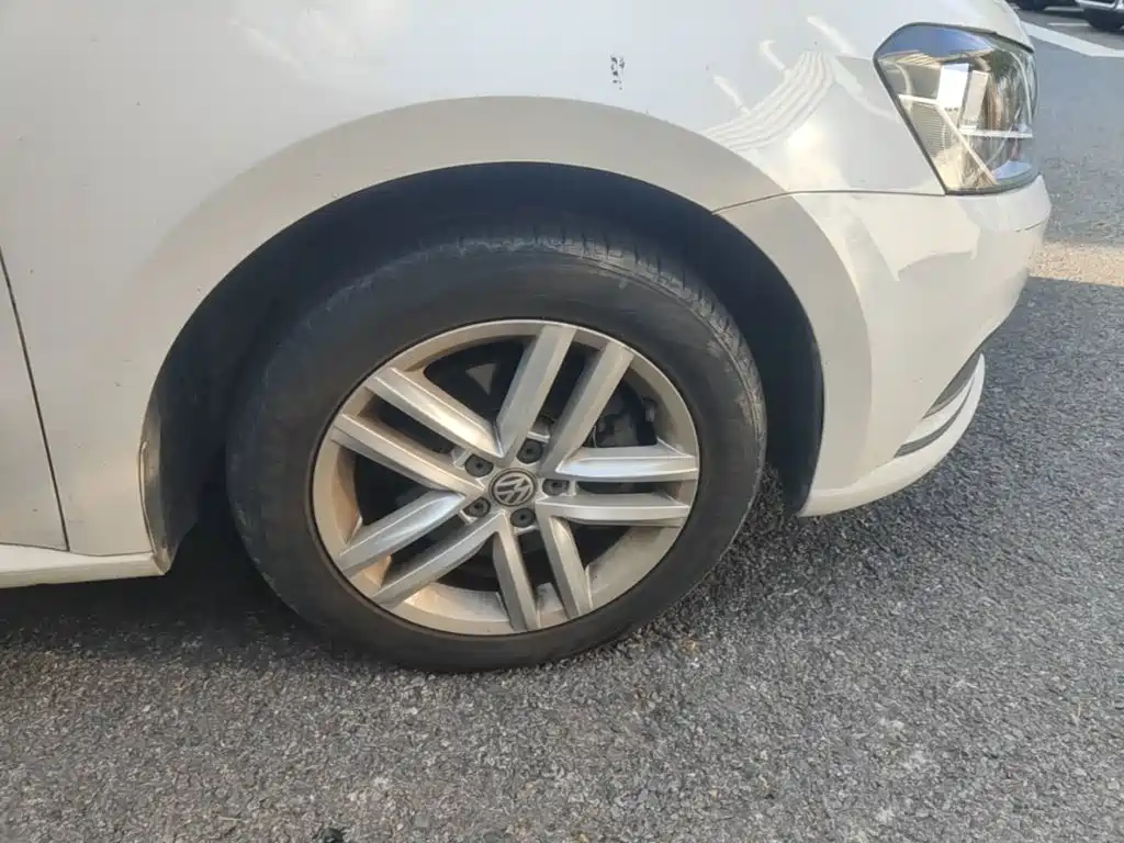 Volkswagen Gran Lavida — миниатюра 12