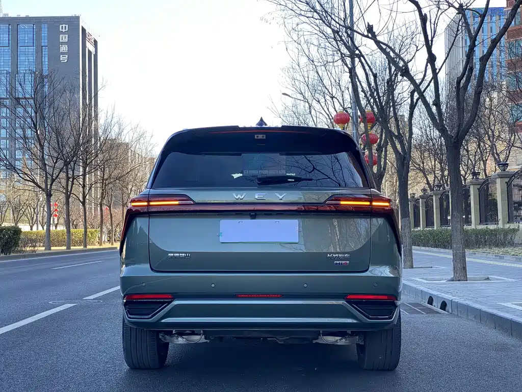 WEI PAI WEI BRAND BLUE MOUNTAIN