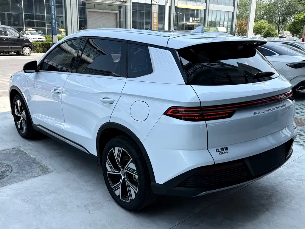 BYD Pro New Energy — миниатюра 6