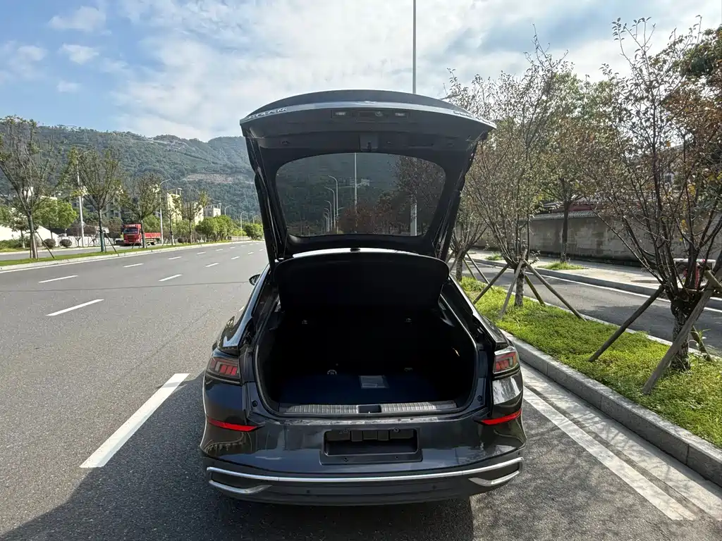 Volkswagen Lamando — миниатюра 19